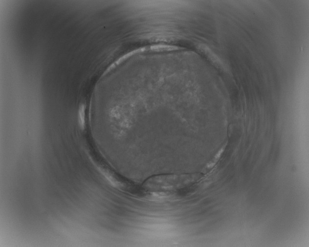 X0000074030070200609181937