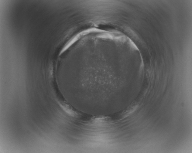 X0000074030072200609181937