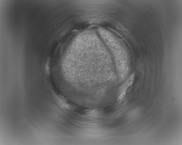 X0000074030074200609181937