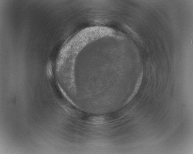 X0000074030075200609181937