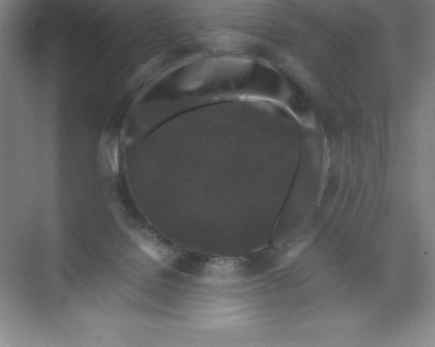 X0000074030076200609181937