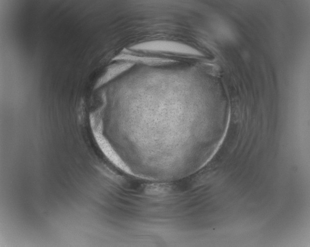 X0000074030077200609181937