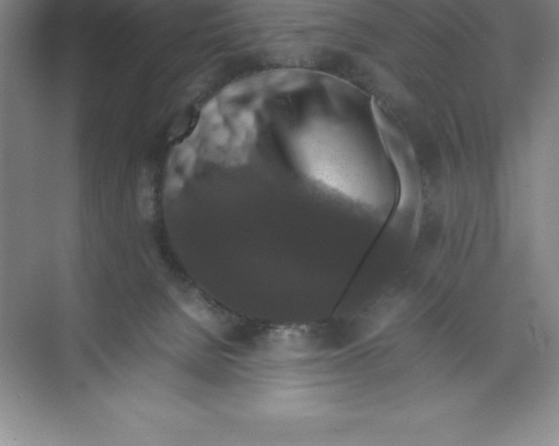 X0000074030080200609181937