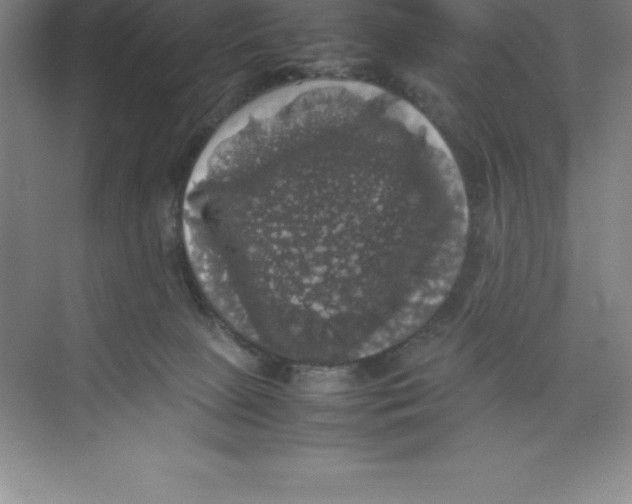 X0000074030081200609181937