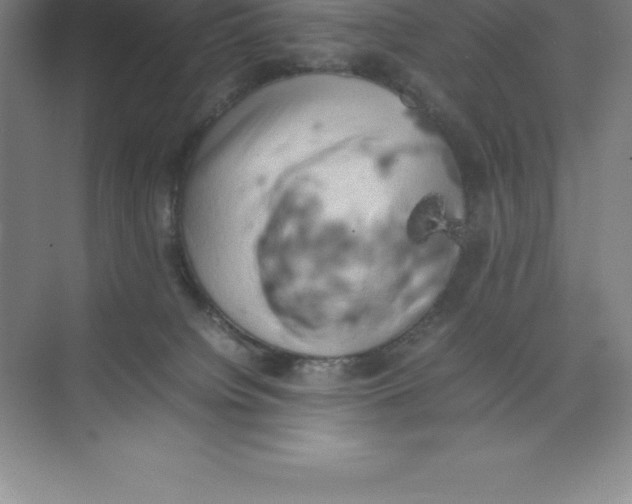 X0000074030084200609181938