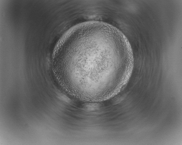 X0000074030085200609181938