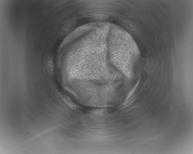 X0000074030086200609181938