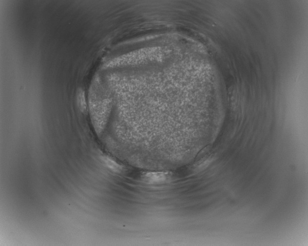 X0000074030089200609181938