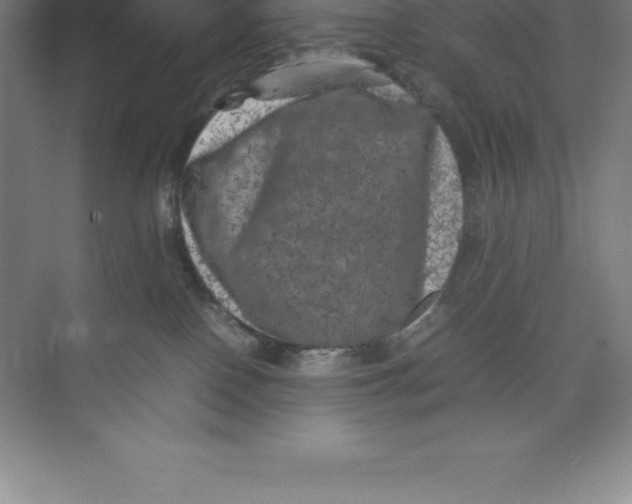 X0000074030090200609181938