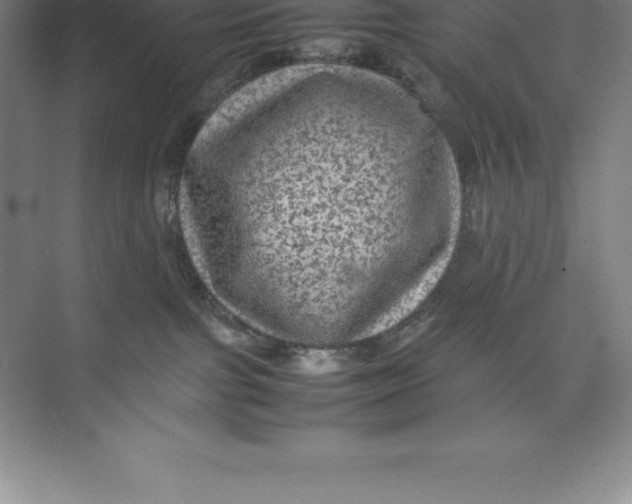 X0000074030091200609181938