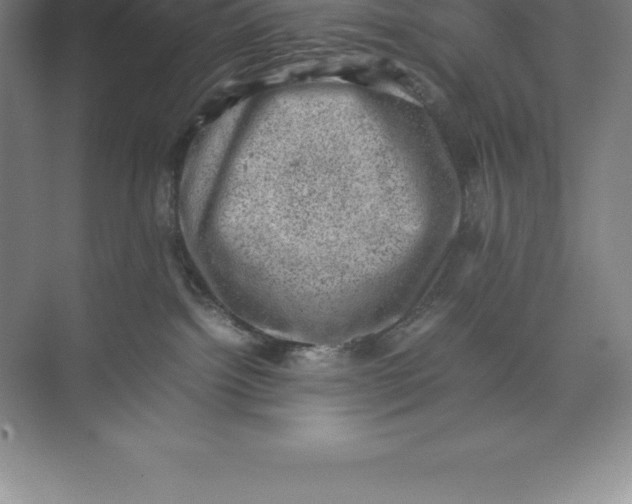 X0000074030092200609181938