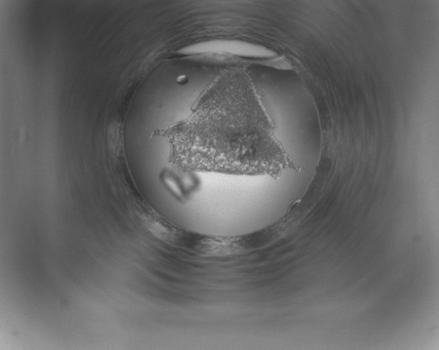 X0000074030093200609181938