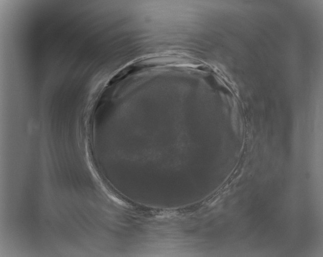 X0000074030097200609181937