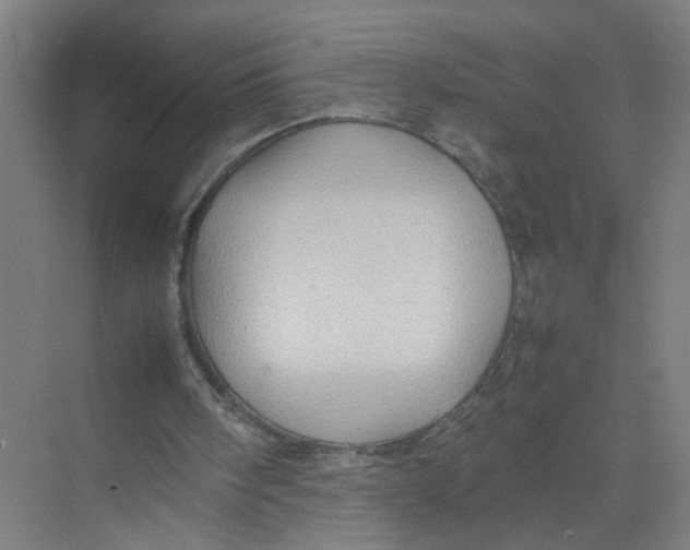 X0000074030098200609181937