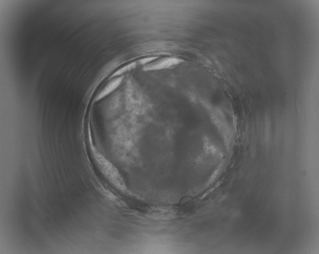 X0000074030099200609181937