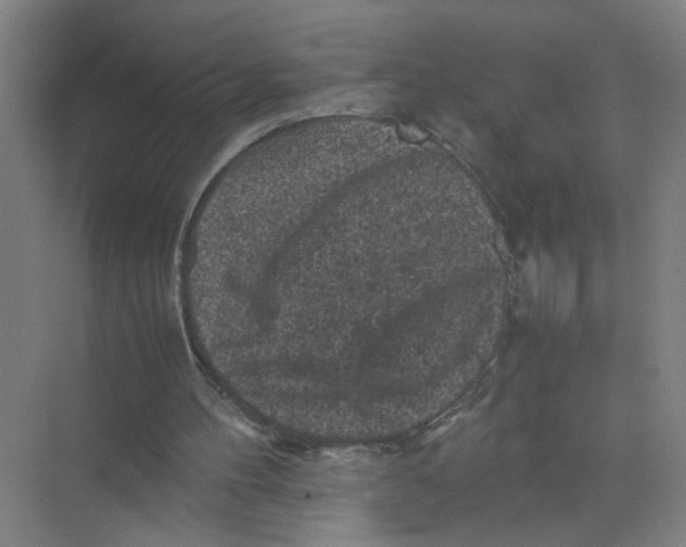 X0000074030100200609181937