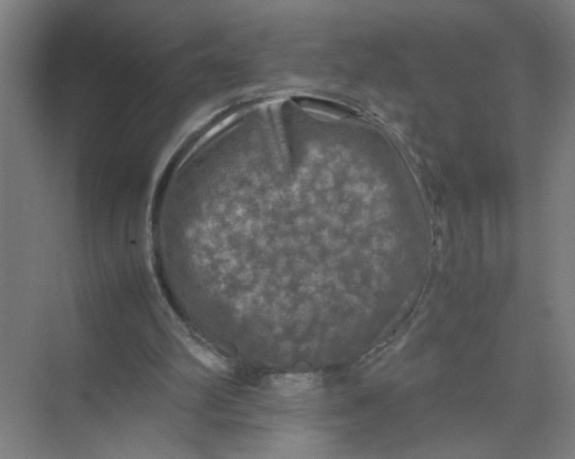 X0000074030102200609181937