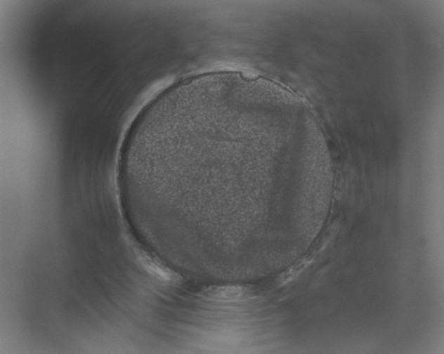 X0000074030104200609181937