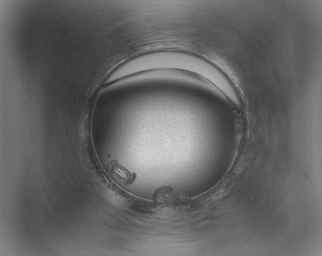 X0000074030105200609181937