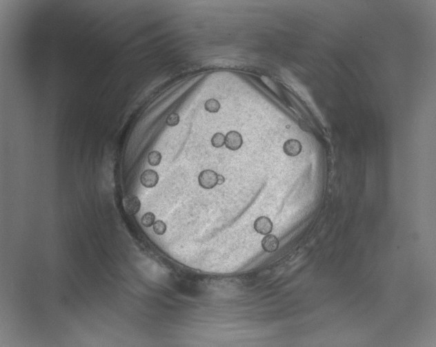 X0000074030106200609181937