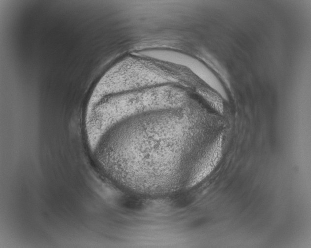 X0000074030107200609181937