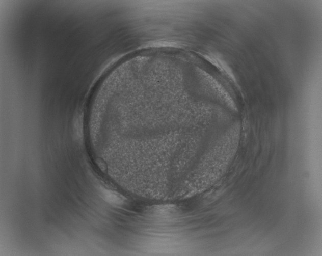 X0000074030108200609181937