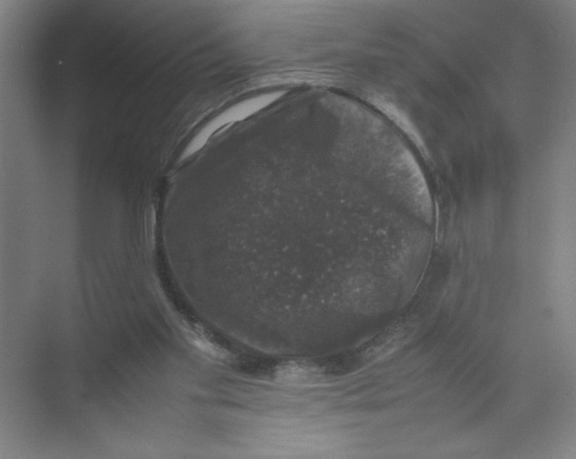 X0000074030109200609181937