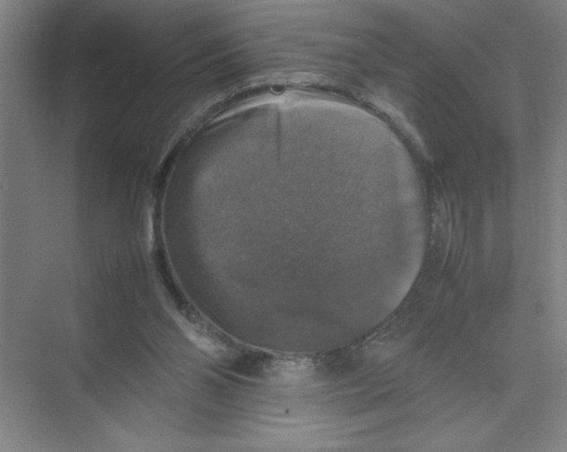 X0000074030110200609181937