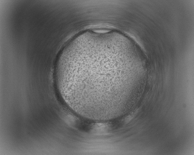 X0000074030111200609181937