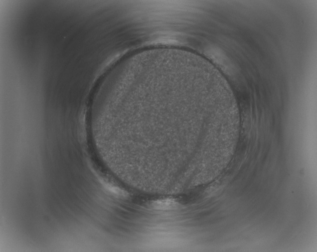 X0000074030112200609181937