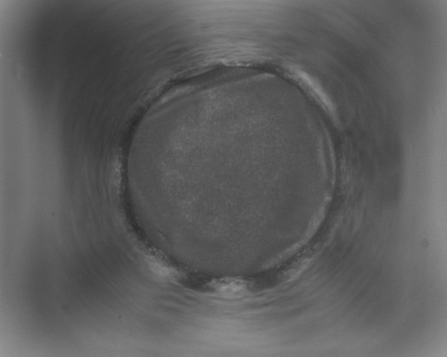 X0000074030113200609181937