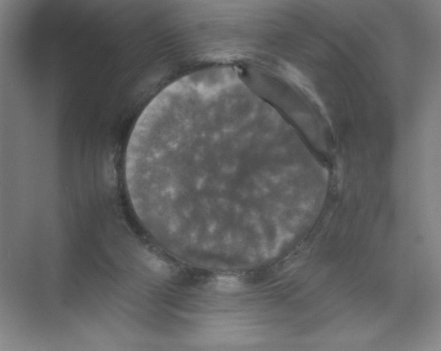 X0000074030114200609181937