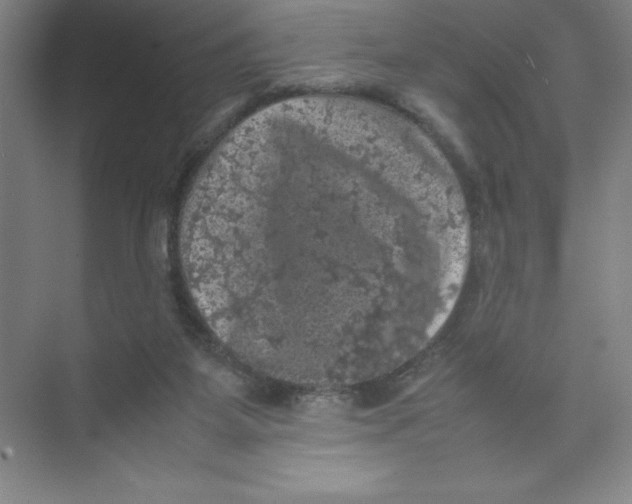 X0000074030115200609181937