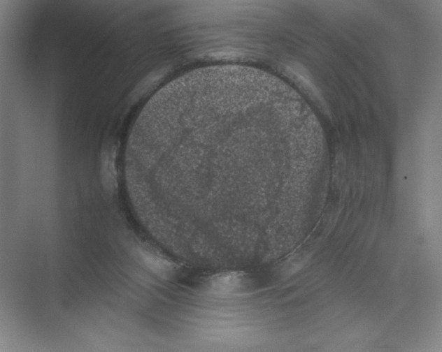 X0000074030116200609181937