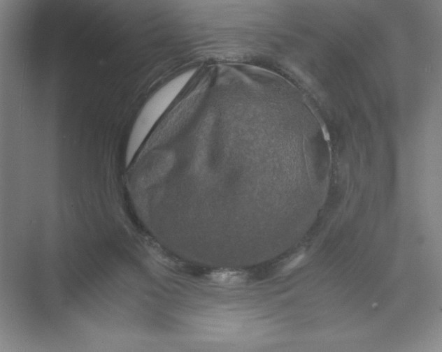 X0000074030117200609181937