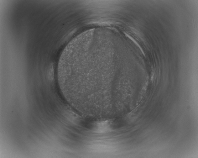 X0000074030120200609181937