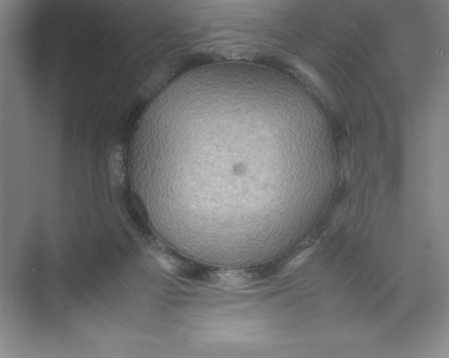 X0000074030121200609181937