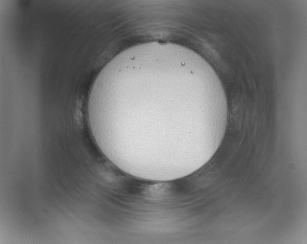 X0000074030122200609181936