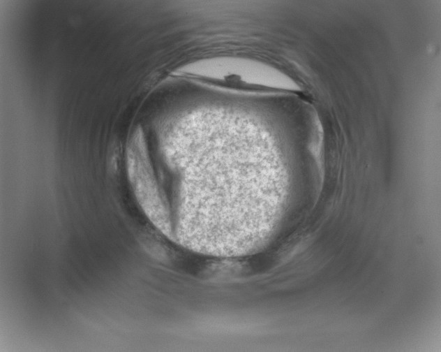 X0000074030125200609181936