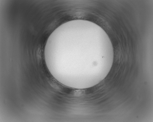 X0000074030126200609181936