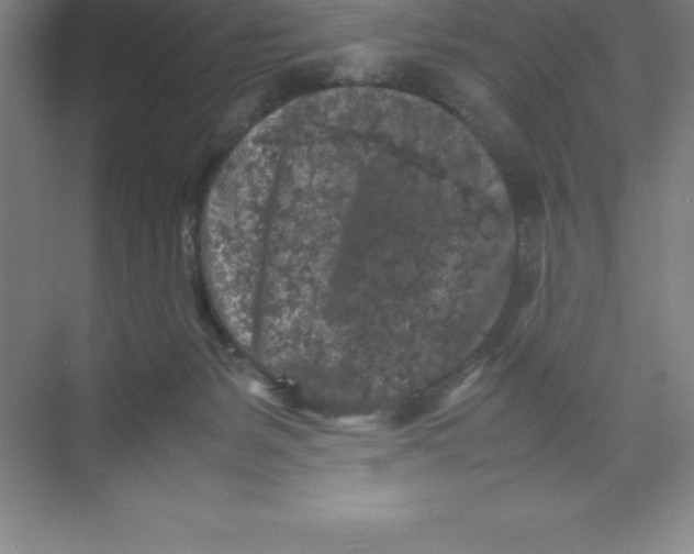 X0000074030127200609181936