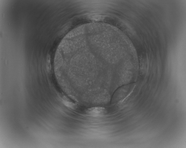 X0000074030128200609181936