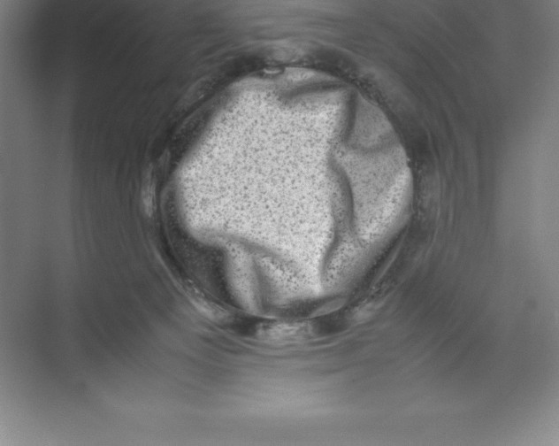 X0000074030129200609181936