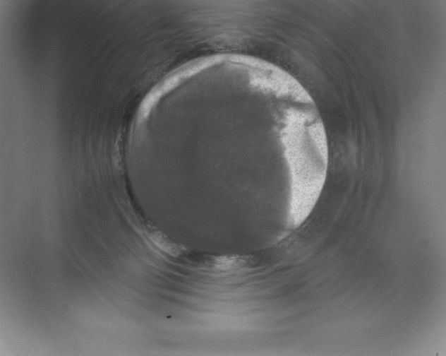 X0000074030130200609181936