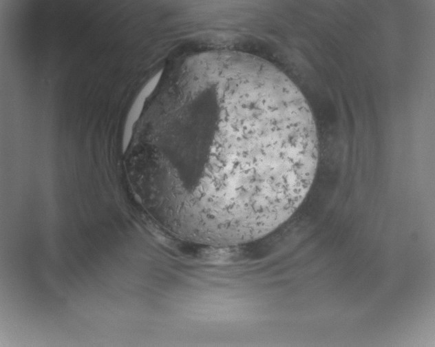 X0000074030131200609181936