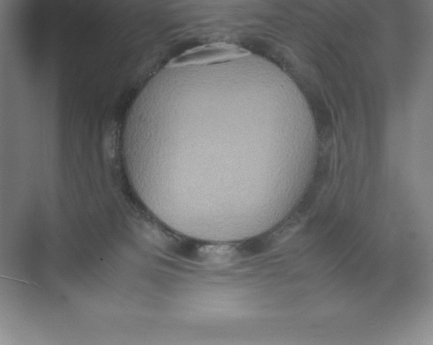 X0000074030133200609181936