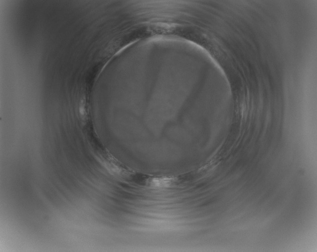 X0000074030134200609181936