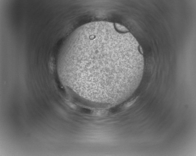 X0000074030135200609181936