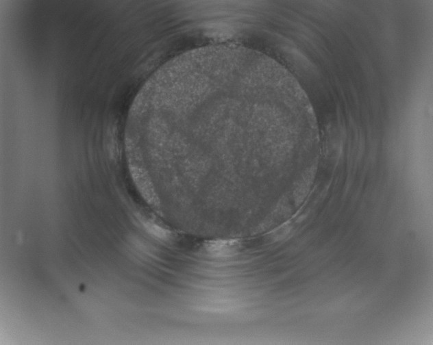 X0000074030136200609181936