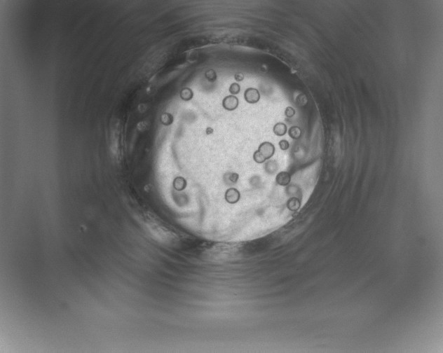 X0000074030138200609181936